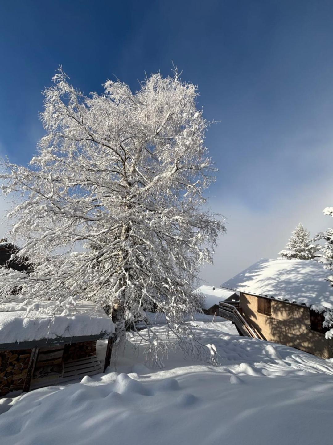 Chalet Rouge Ou Blanc Villard-Reculas 외부 사진