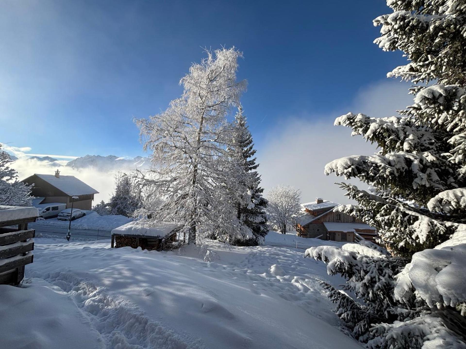 Chalet Rouge Ou Blanc Villard-Reculas 외부 사진